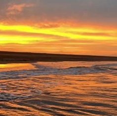 explift's tweet image. 42秒 🕷️