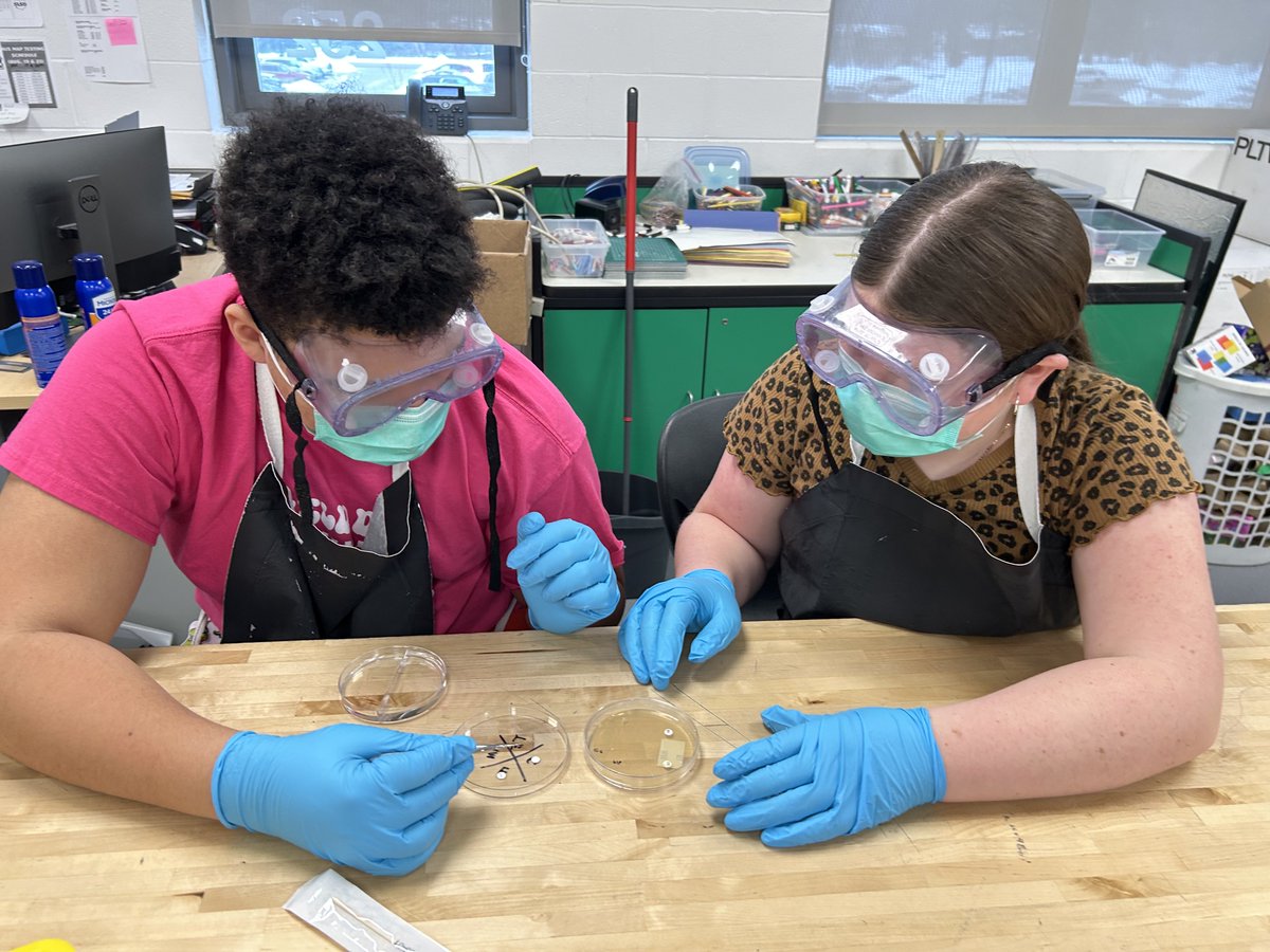 Testing Antibiotics in Medical Detectives today.