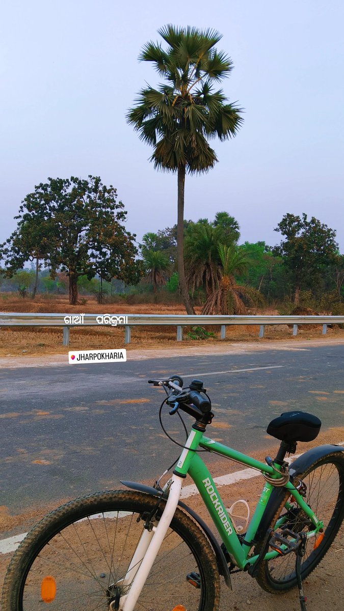 ଗାଆଁ   🚲  ପରିକ୍ରମା
