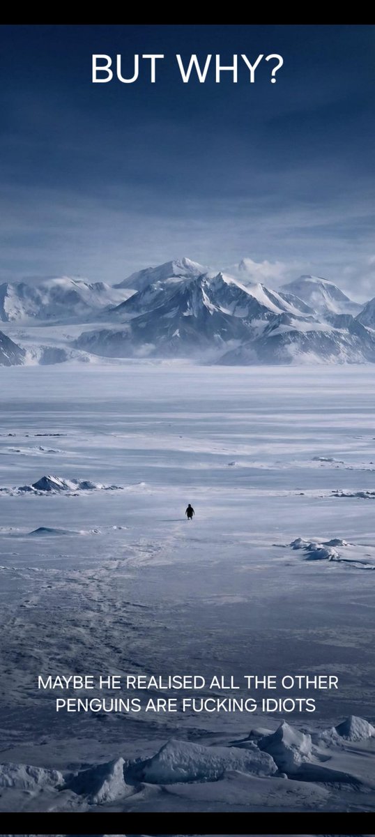 Paul 🇬🇧Vote Restore Britain🇬🇧 tweet media