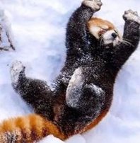 shells24's tweet image. 山が優しい 🖐️