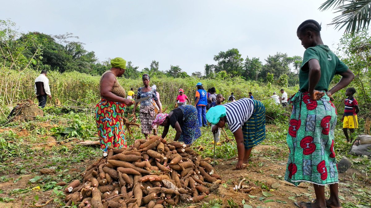 UN Liberia tweet media