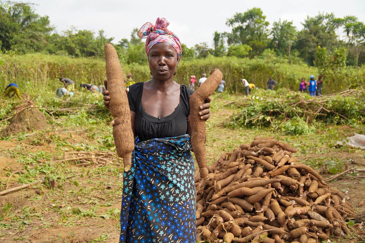 UN Liberia tweet media