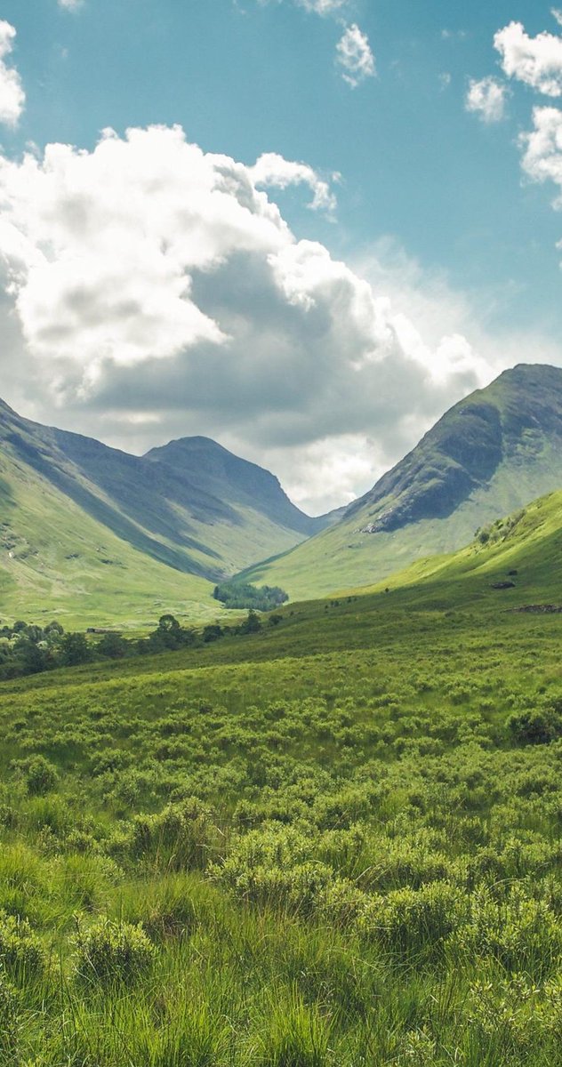 minecraft8256's tweet image. 何のテレビですか？ 🤛