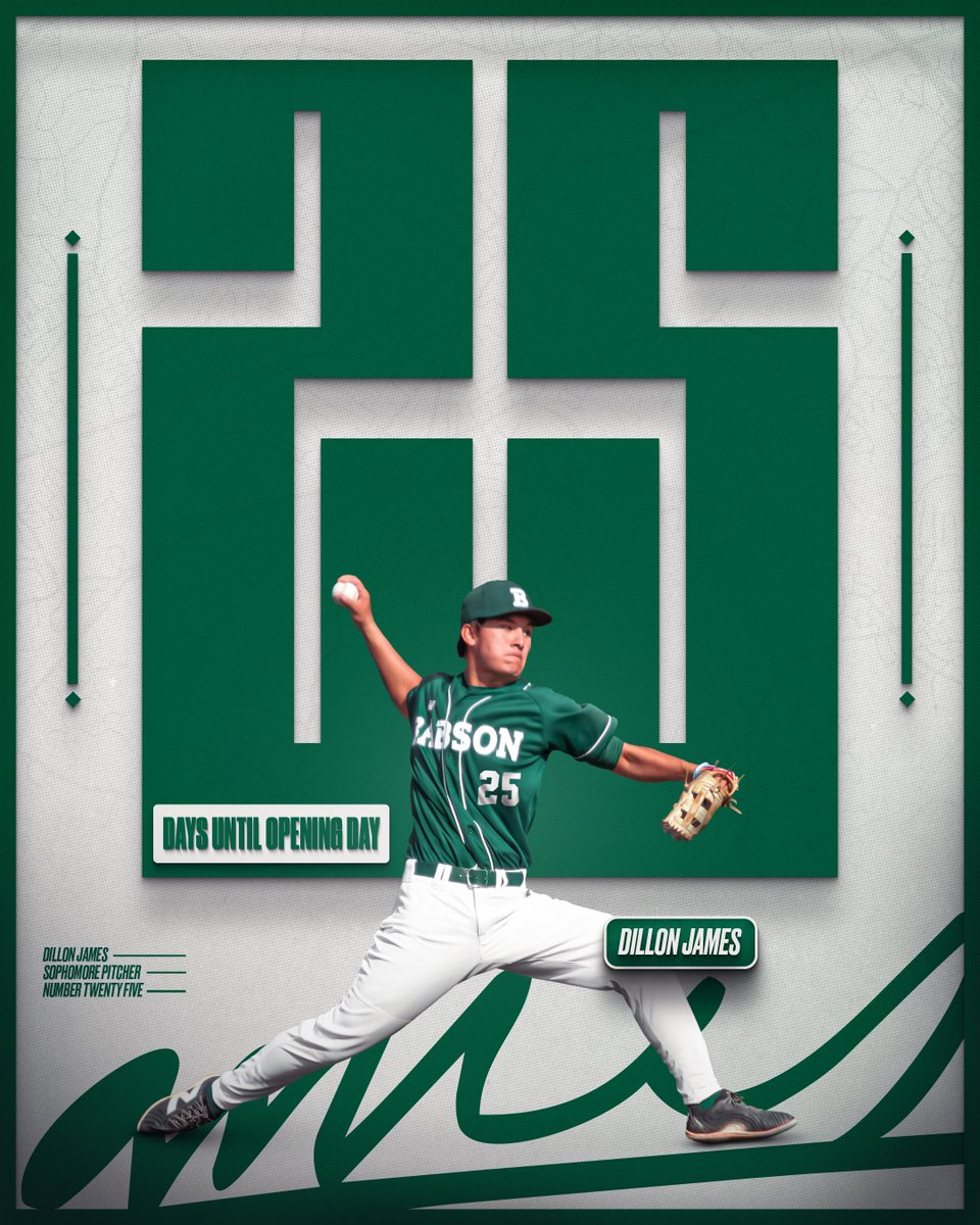 Babson Baseball tweet media