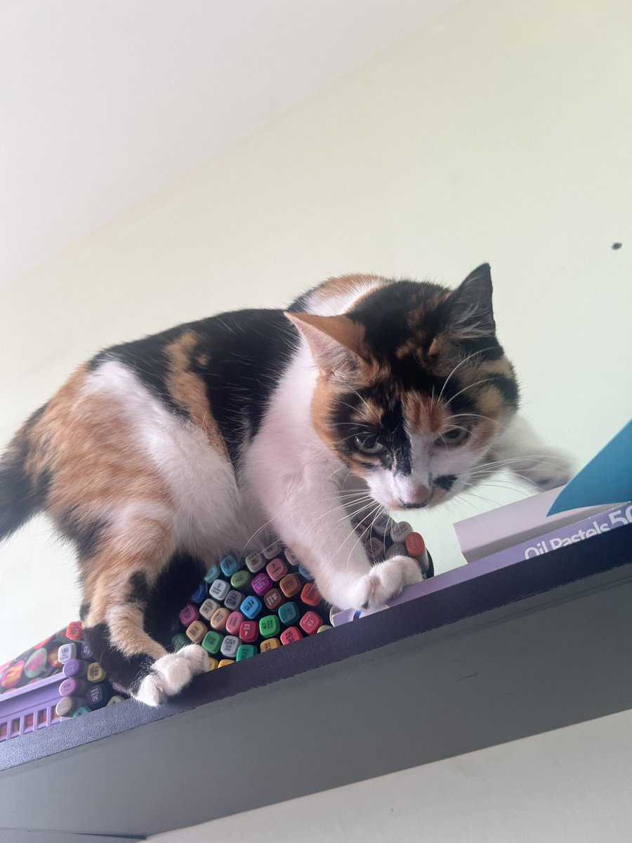 Guilherme Nunes tweet media