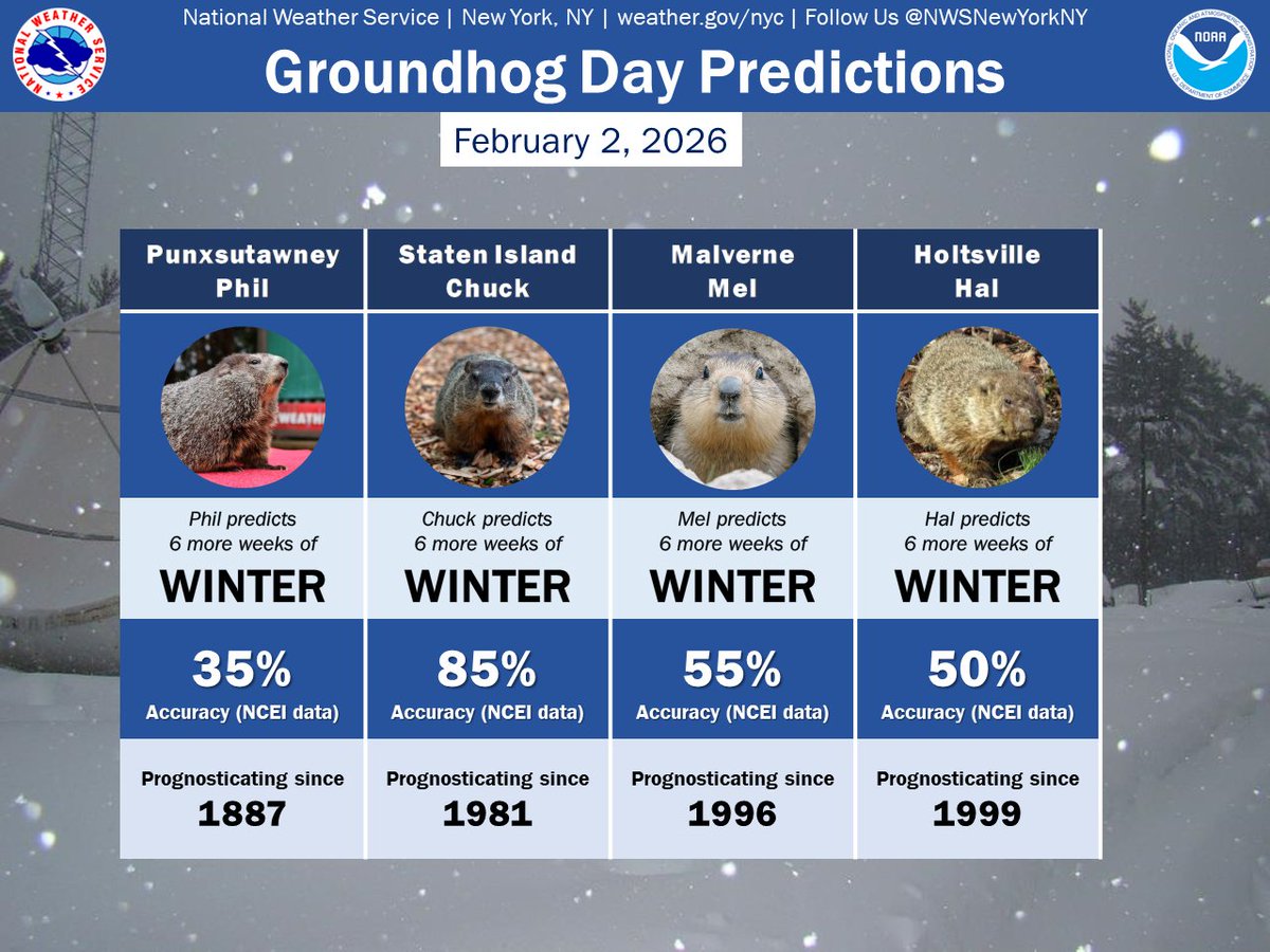 NWSNewYorkNY's tweet image. Happy Groundhog Day! All local groundhogs along with Punxsutawney Phil saw their shadow this morning, meaning 6 more weeks of winter!