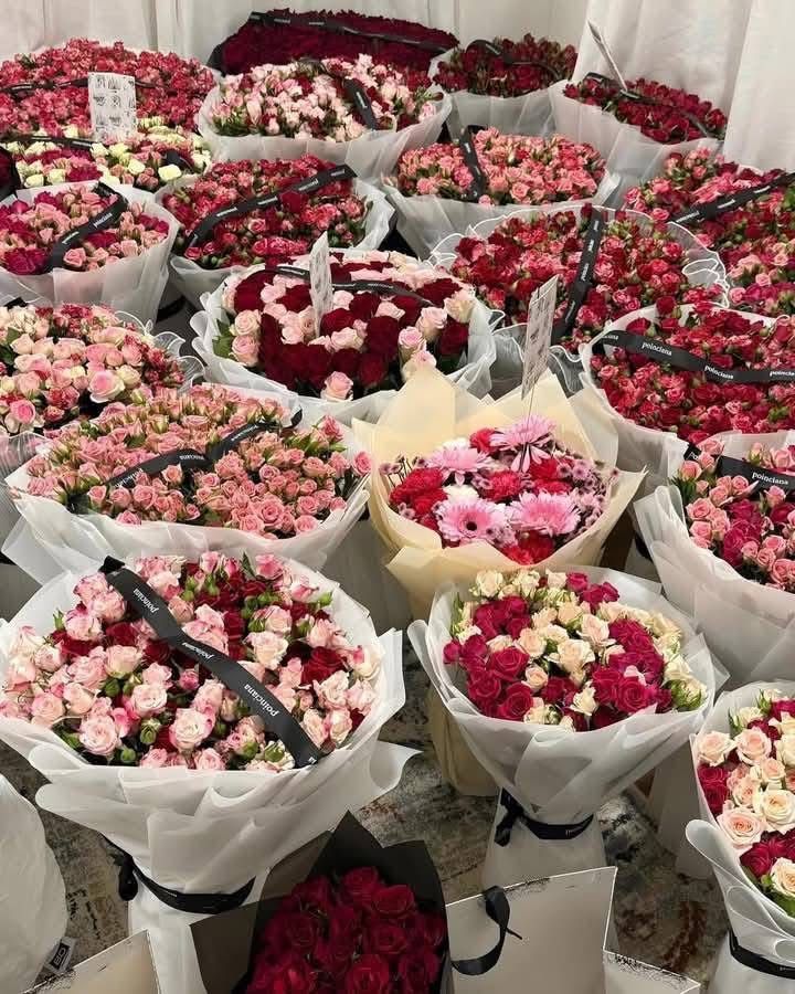 bloomifyyy's tweet image. 