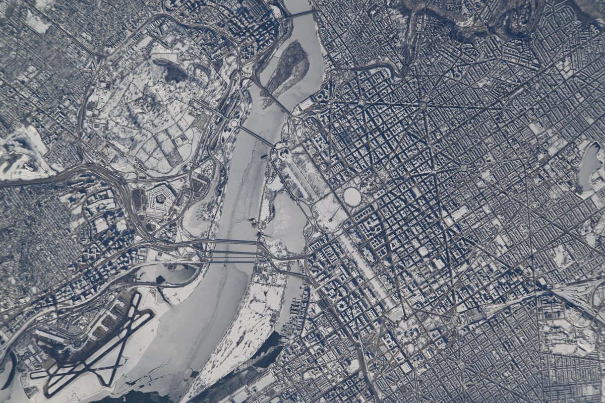 Chris Williams tweet media