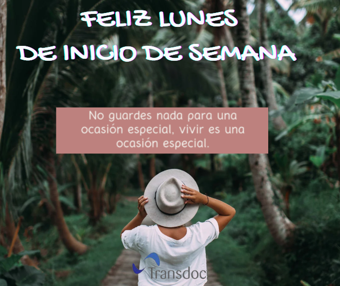 transdoctrabajos tweet media