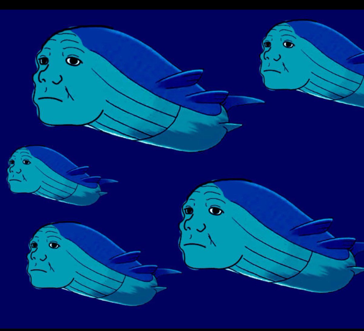 DEX migration will also begin this week

All official $wojak migration announcements will be shared on this account

Please turn on post notifications

We are all Wojak