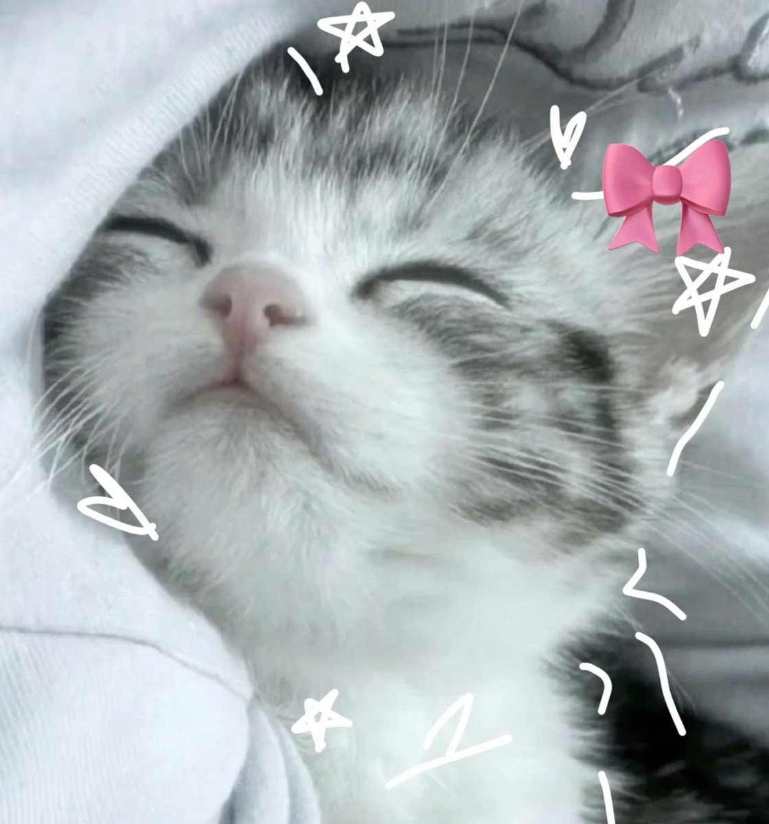 witcher55's tweet image. 耳にする 🌴