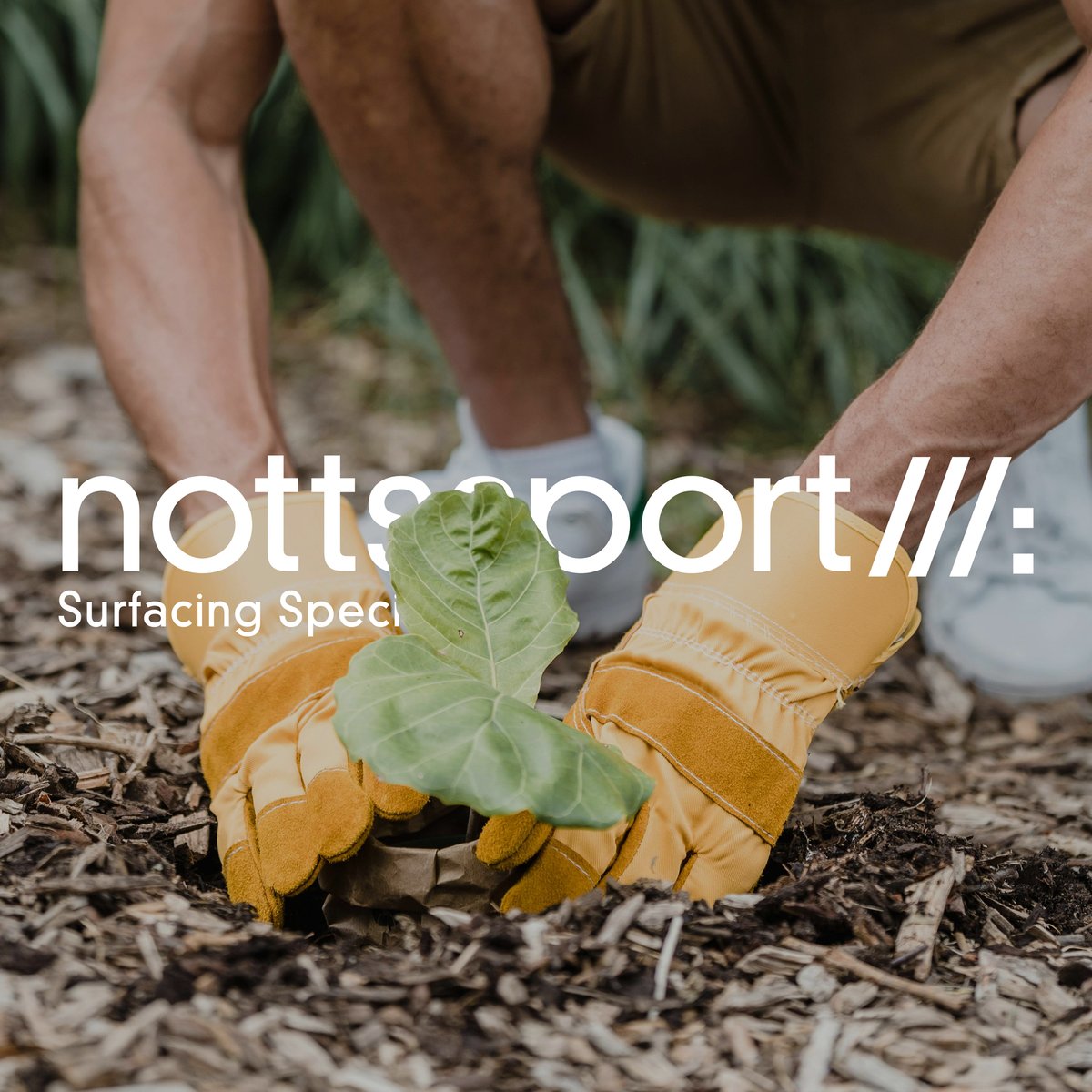 Notts Sport tweet media