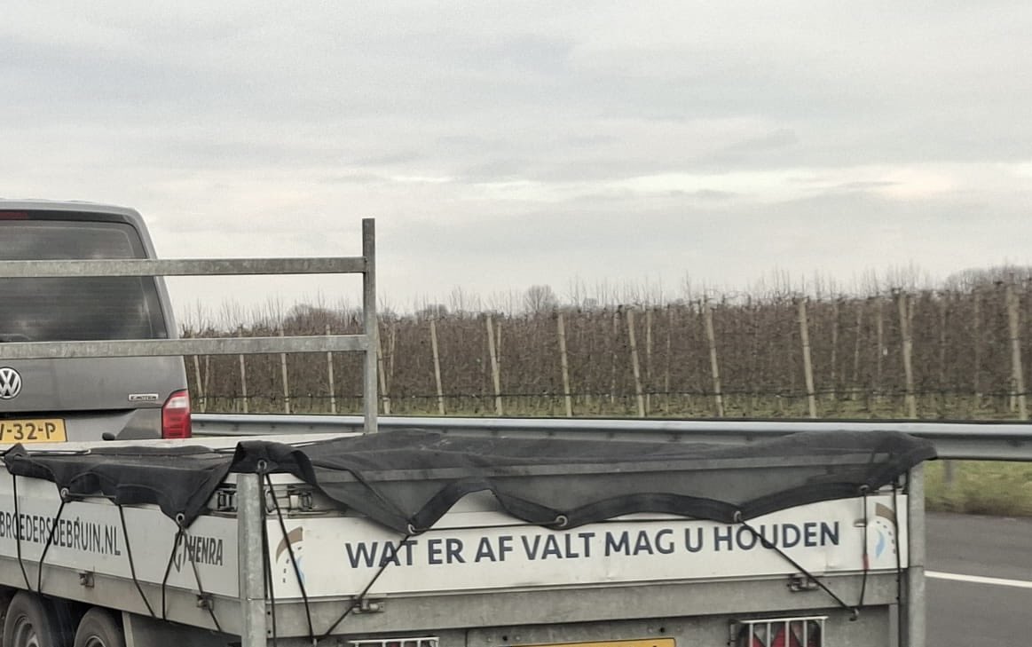 De verzekeraar denkt hier anders over 😁