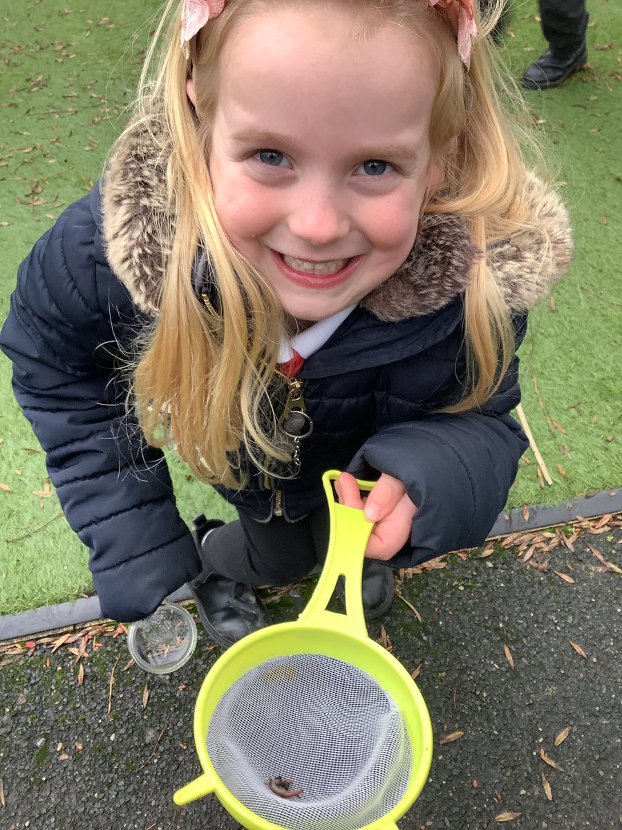 Millhouse Primary tweet media