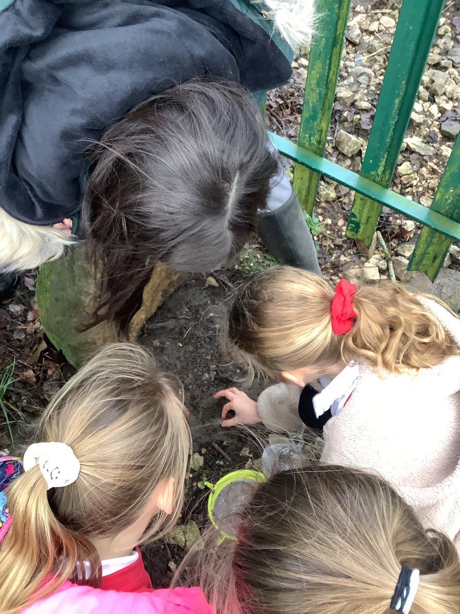 Millhouse Primary tweet media