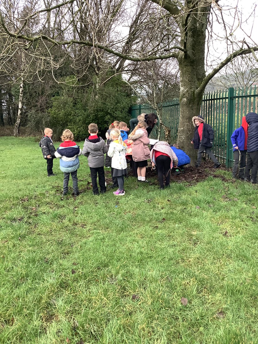 Millhouse Primary tweet media