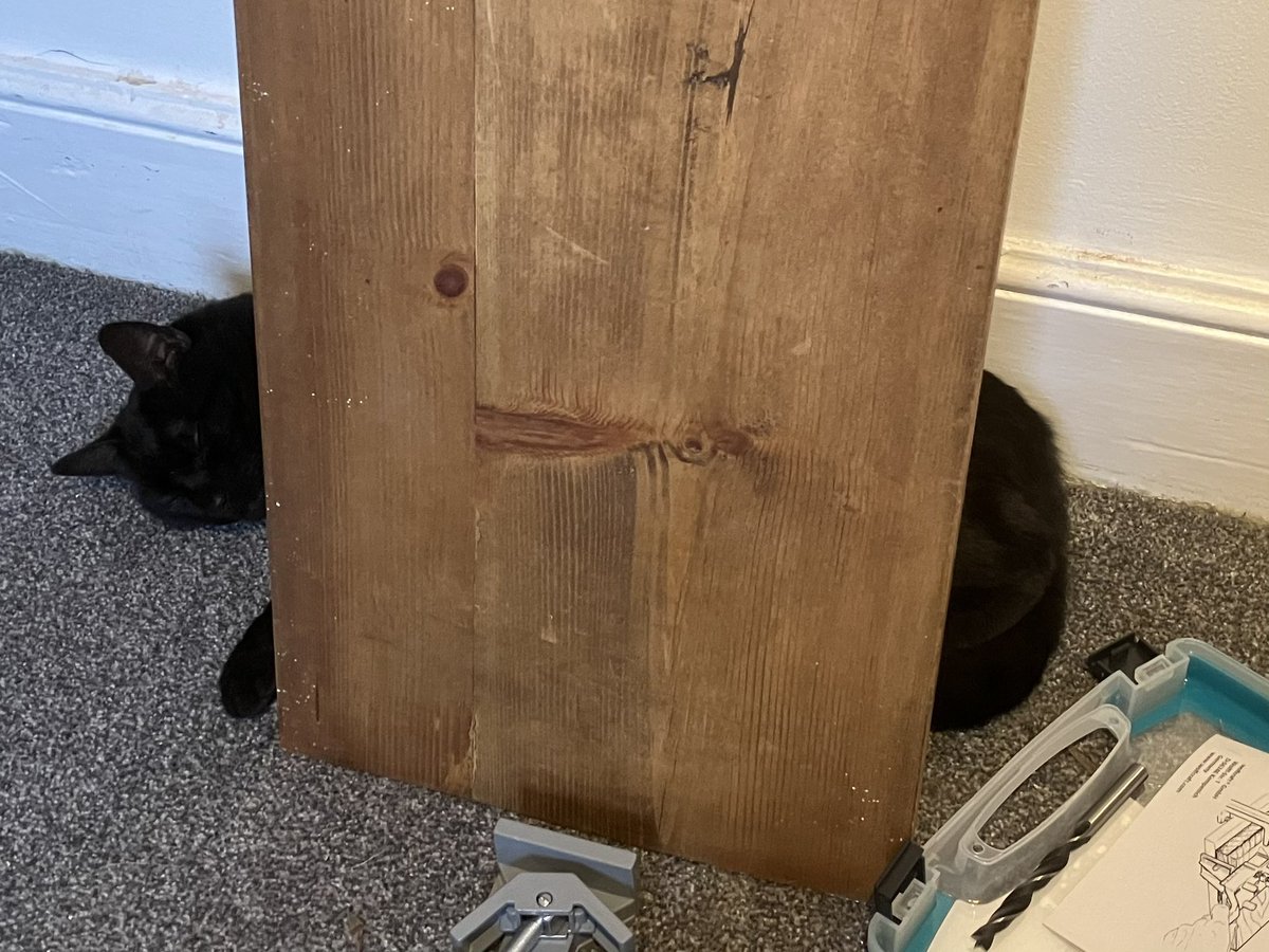 Helen Chen tweet media