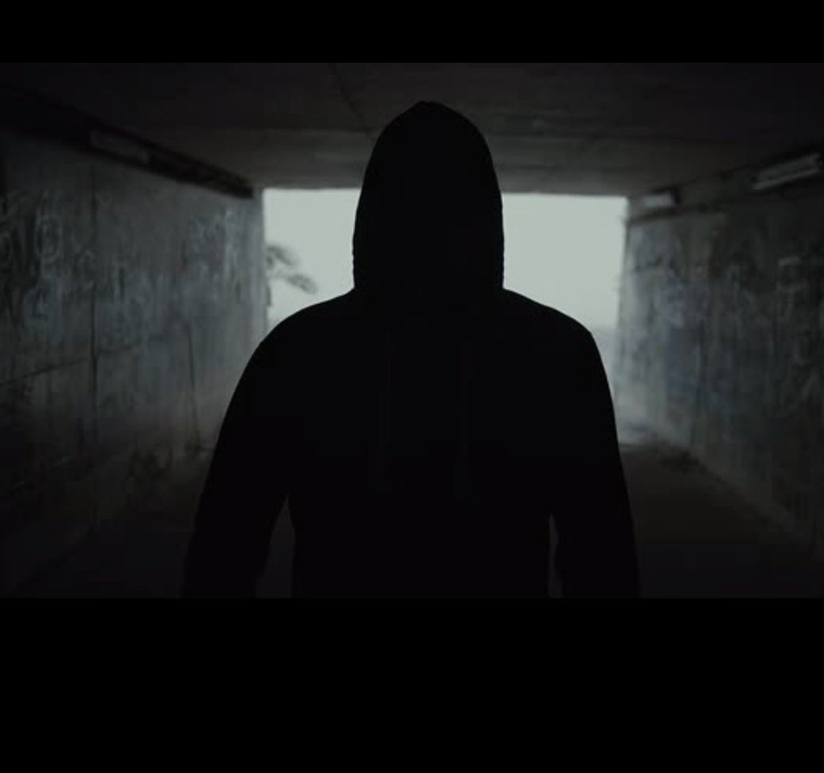 MWhalekiller tweet media