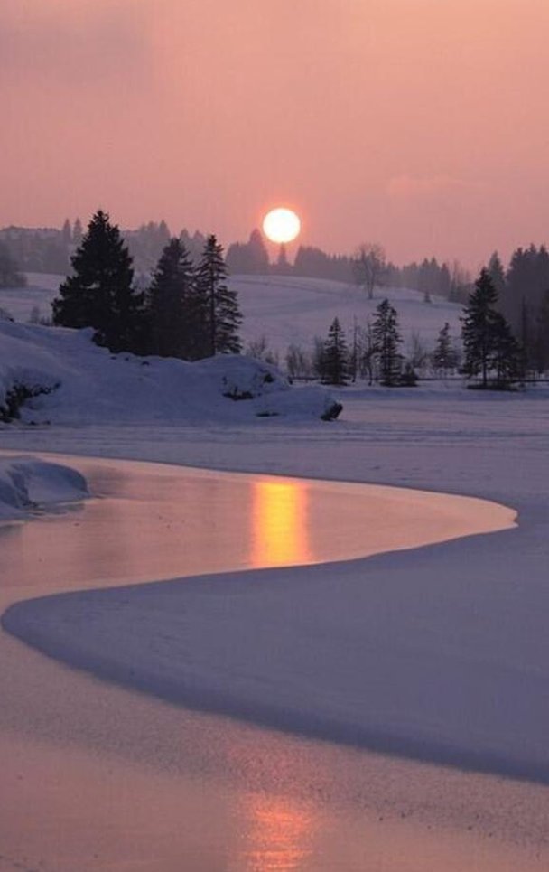 Modena5's tweet image. 浅い体 🦩