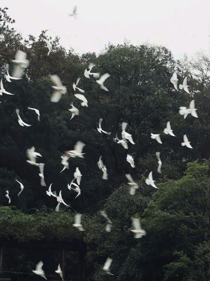 جـَـوى tweet media