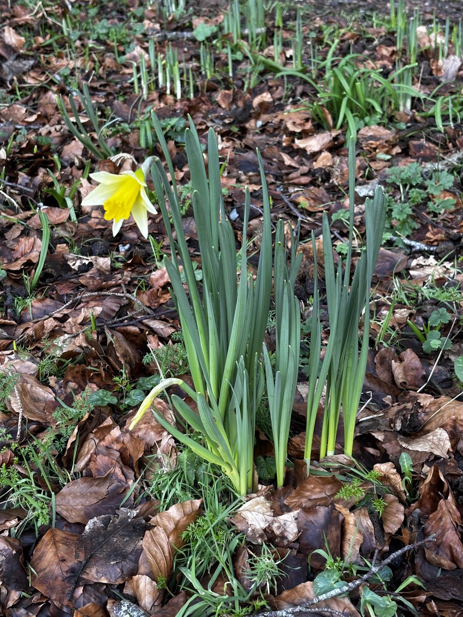 internalcabling's tweet image. Первый пошёл. Ура, товарищи