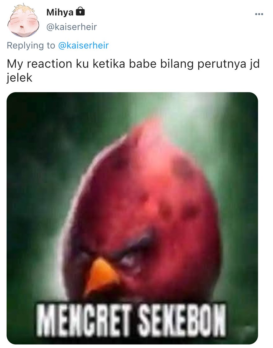 Mikki tweet media