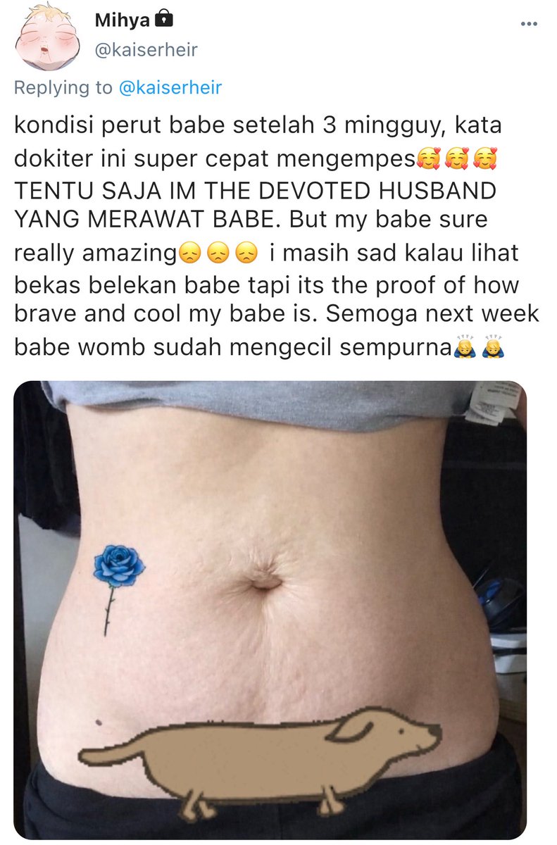 Mikki tweet media