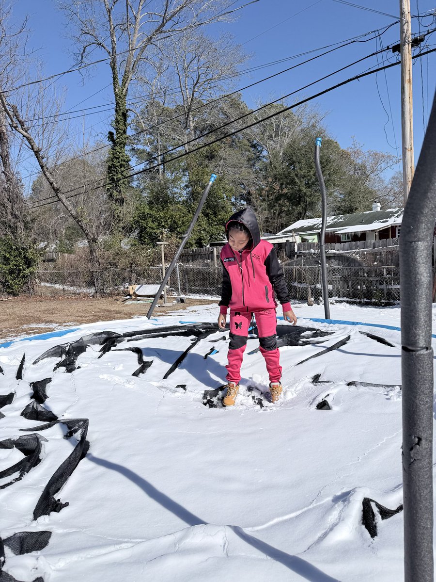 koolieink's tweet photo. 🦋 FLY n ❄️ ⛄️ 
-Koolie Ink https://t.co/xShtu1iyb2