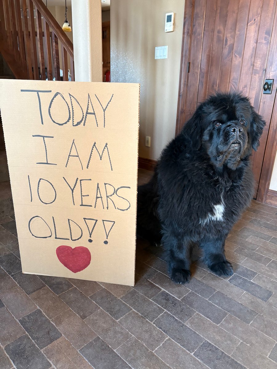 V. Olson tweet media