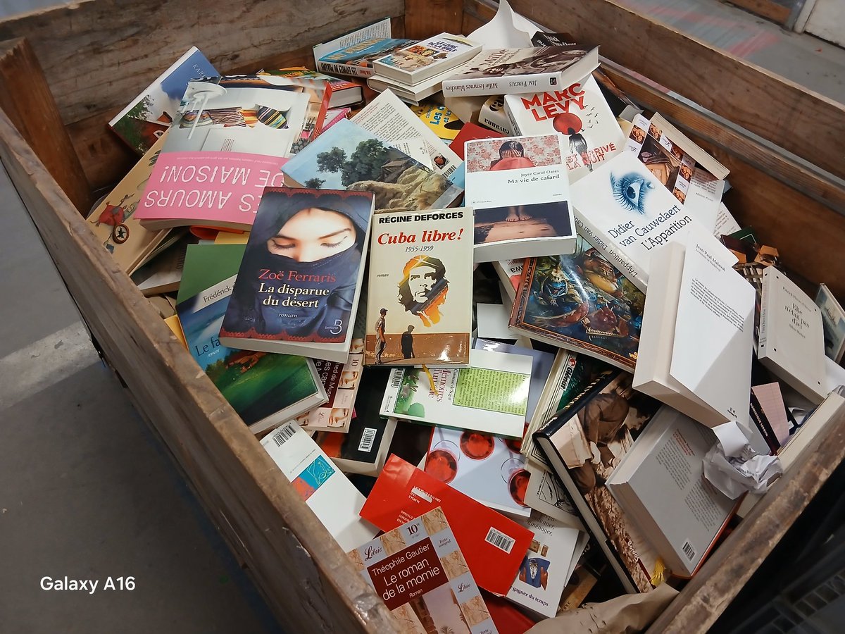 Kblbookseller's tweet photo. کارم این است که هر روز صدها جلد کتاب از بزرگ‌ترین نویسندگان جهان را به سطل زباله بسپارم.
دست‌��ایم مأمور حذف‌اند، اما ذهنم پر از جمله‌هایی‌ست که التماسِ ماندن می‌کنند.
یاد رمان تنهاییِ پُرهیاهو می‌افتم،
شاید بعضی کتاب‌ها را نمی‌شود دور انداخت؛
آن‌ها قبلش، ما را می‌خوانند. https://t.co/dWeZJ1tFyj