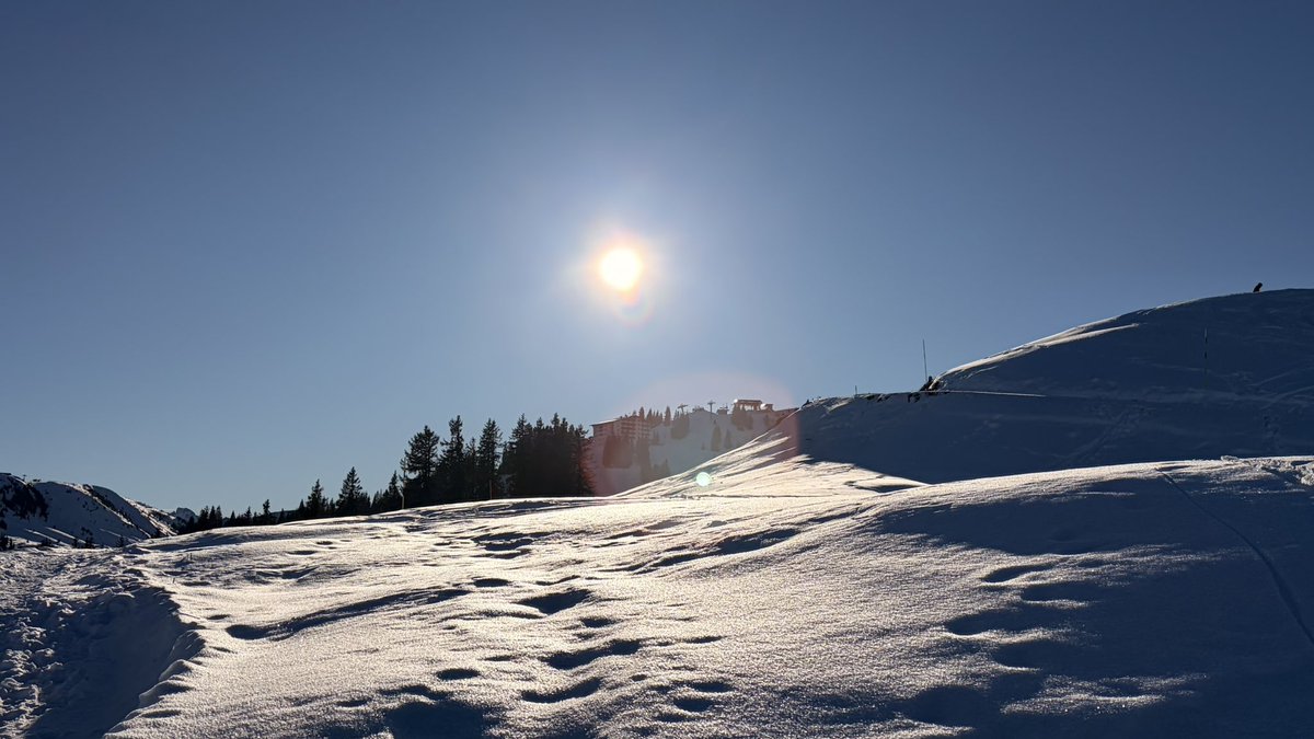 mz_storymakers's tweet photo. „Ist's an #Lichtmess hell und rein, wird's ein langer #Winter sein." https://t.co/Gj3TjfUNeG