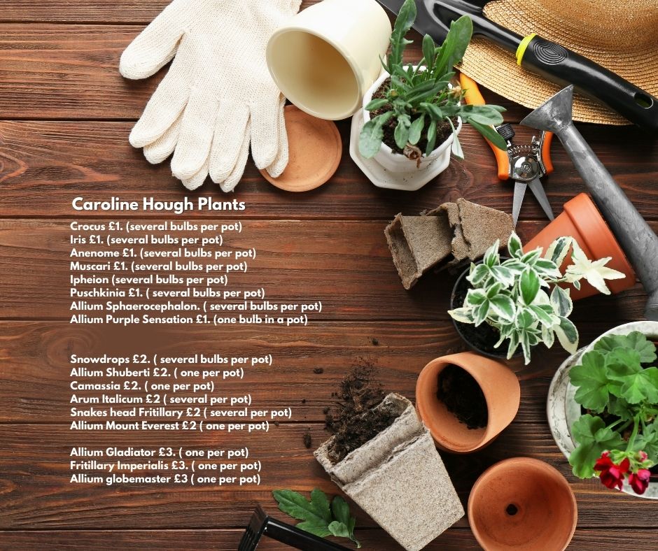 BiddulphTC tweet media