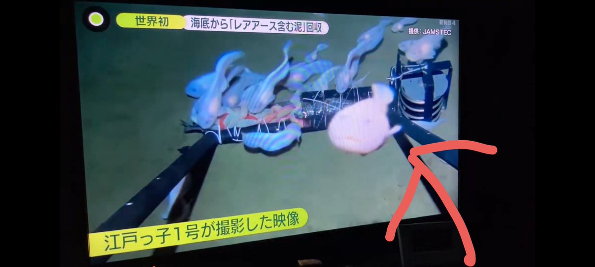 おすしちゃん🍣【OSUSHI】 (@sxtxnxch) / Posts / X