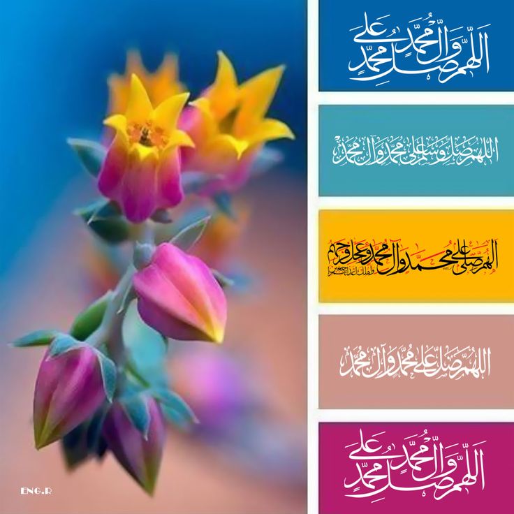 امان اللہAman ullah tweet media