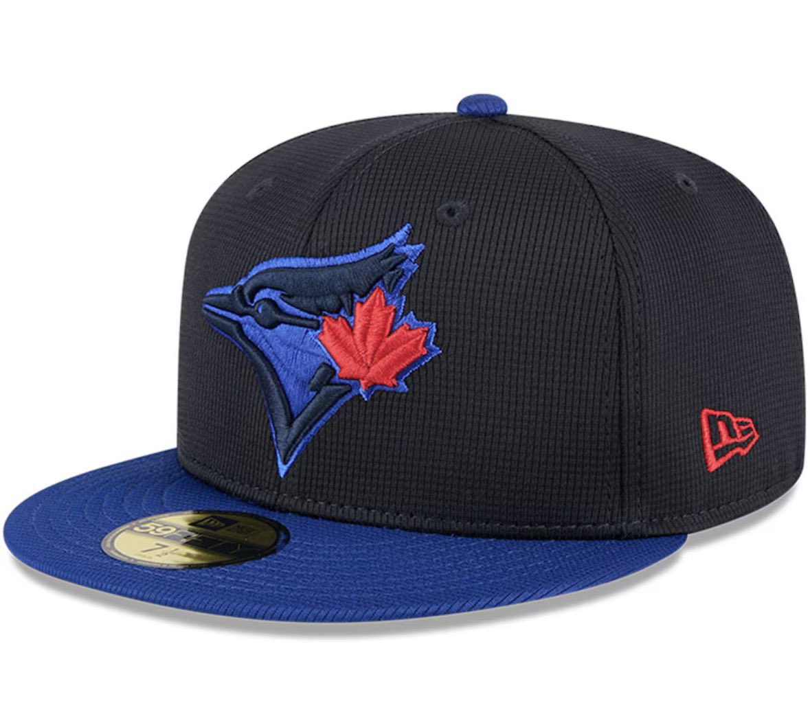 Blue Jays Dad tweet media