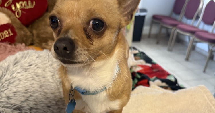 Polk StandardJournal tweet media