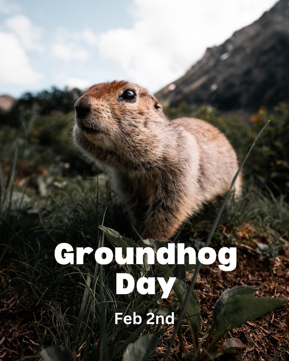 salamd06's tweet photo. Every February 2nd, the United States and Canada mark Groundhog Day, an annual tradition in which a groundhog predicts whether winter will continue or give way to spring soon. 

The most famous prognostication in the US is held at Punxsutawney town (pronounced https://t.co/dO8DGG0WW4