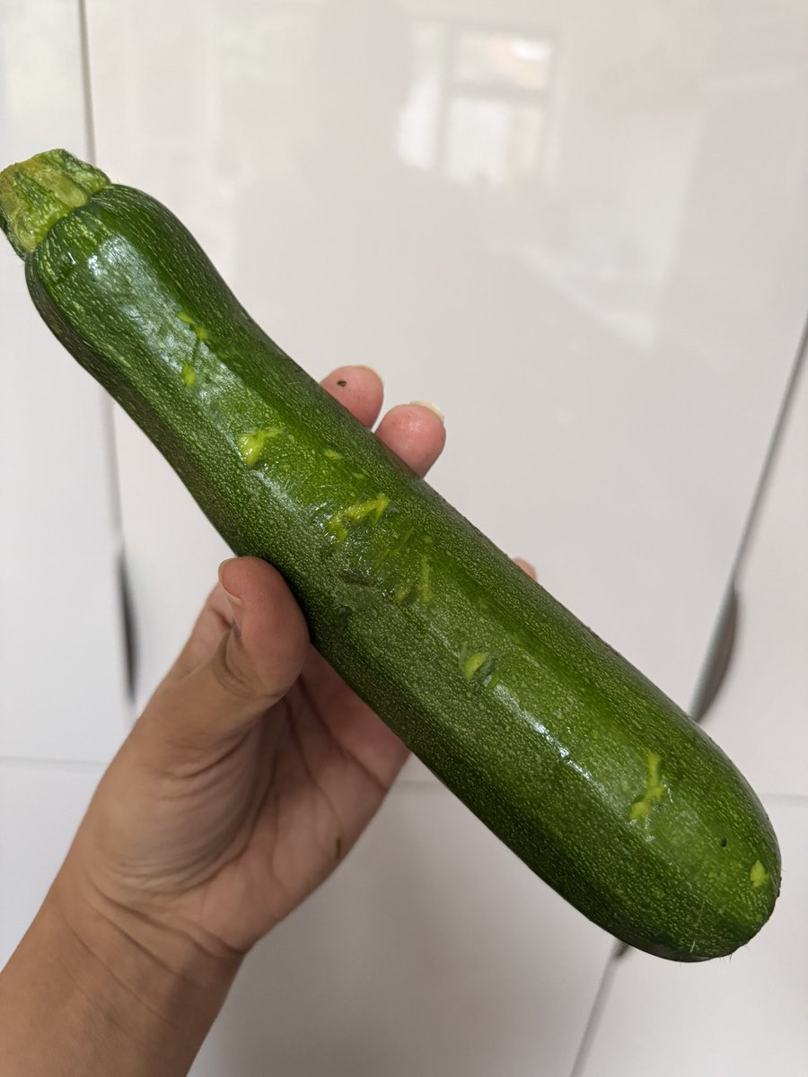 papermachecat tweet media