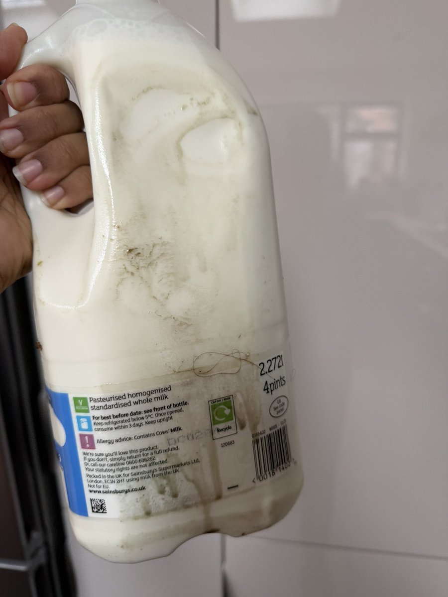 papermachecat tweet media