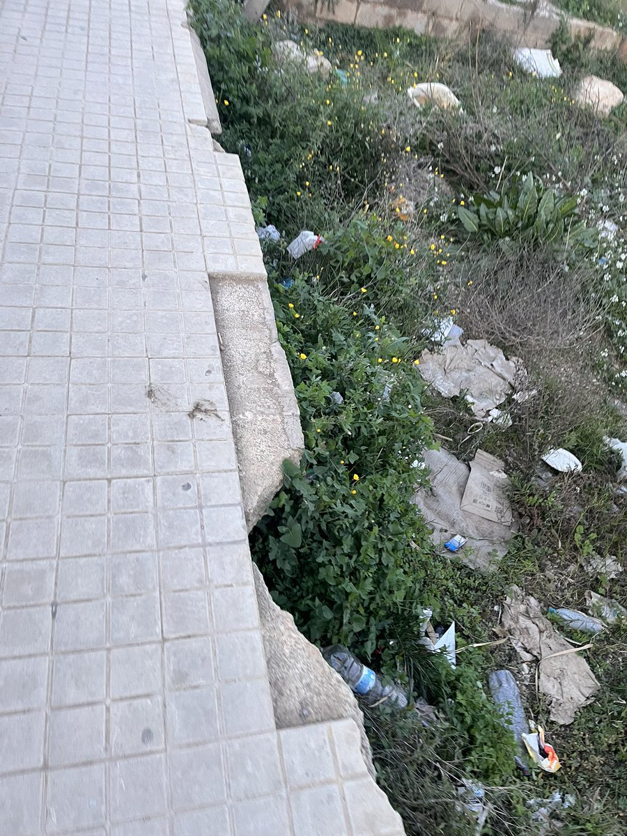 Luc Puig tweet media