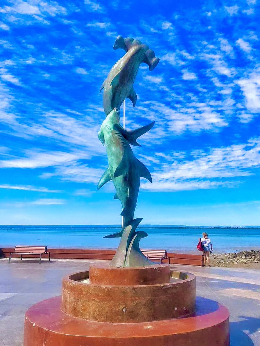 PostBajaSur's tweet image. Buenos Días 
🔊La Paz, Baja California Sur #BCS 🔝