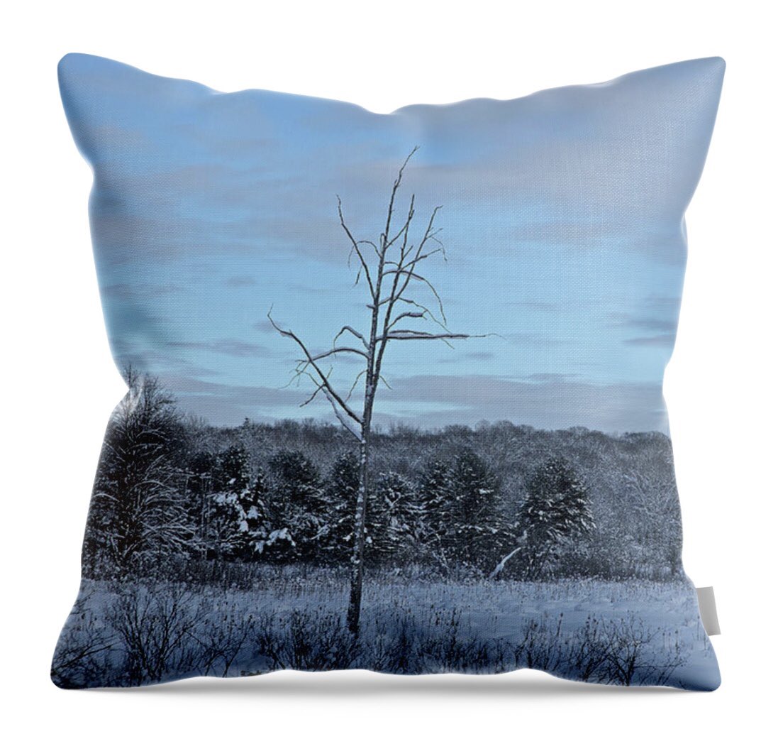 shonna99784's tweet photo. Alone, Parry Sound - Throw Pillow https://t.co/YKPAIcScGT

#Alone #ParrySound #SeguinTownship #LeaflessTree #ThrowPillow #GiftIdeas #ShonnaHawkinsPhotography #BuyIntoArt https://t.co/Z2lxd6Rbhg