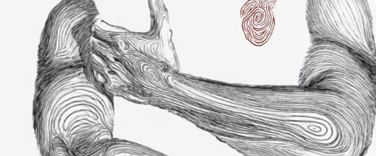 ‏خلود tweet media