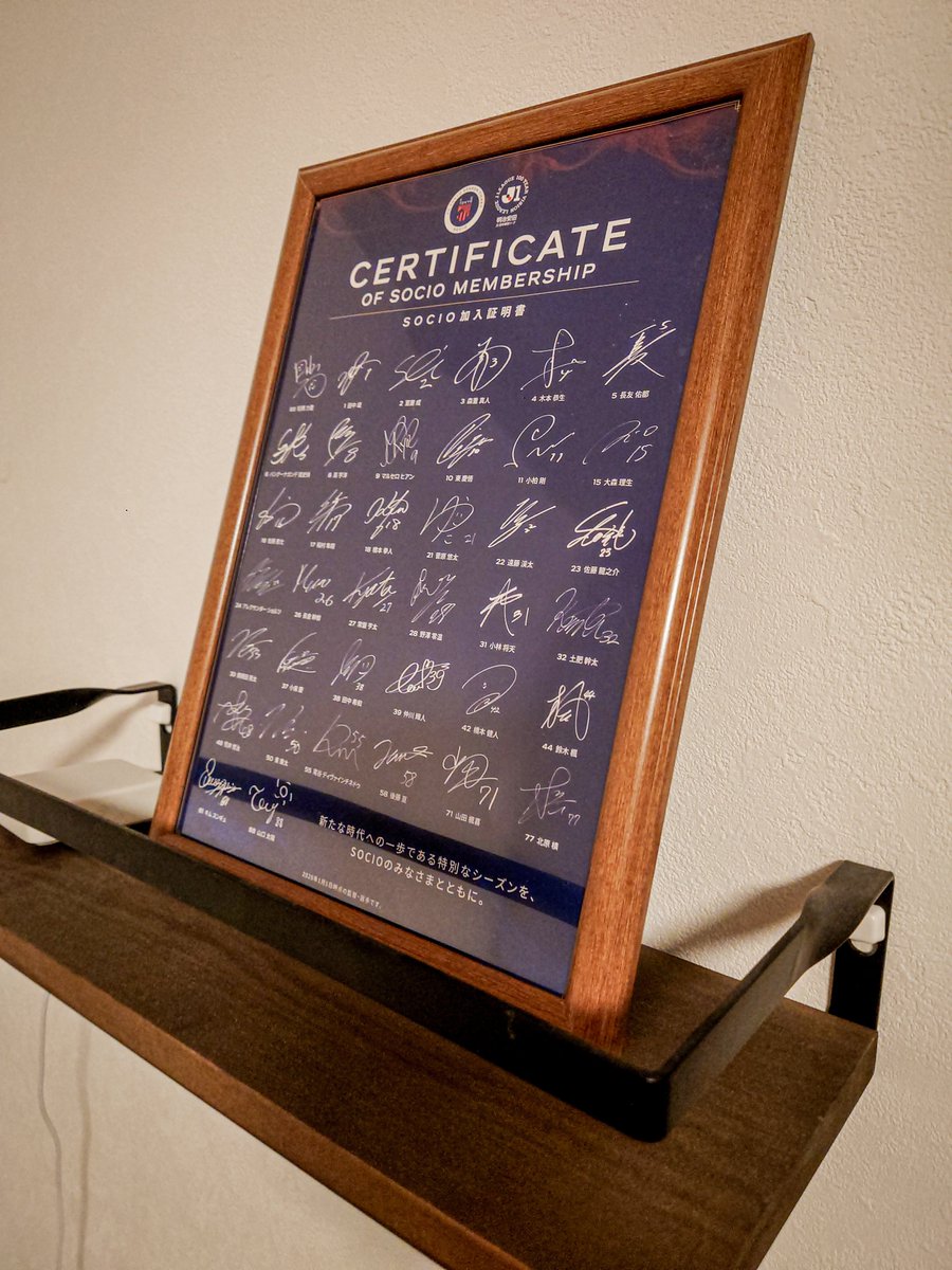 ☑️2️⃣0️⃣2️⃣6️⃣🟦🟥