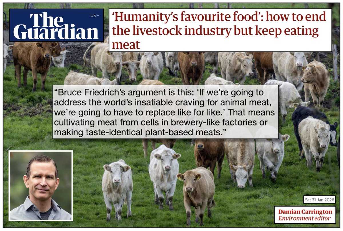 In a <a href="/guardian/">The Guardian</a> article by <a href="/dpcarrington/">Damian Carrington</a> about the destructive impact of animal agriculture on the planet and possible solutions, Good Food Institute founder <a href="/BruceGFriedrich/">Bruce Friedrich 🔸</a> explains why #cultivatedmeat and #plantbased meats are viable and compelling replacements. (The