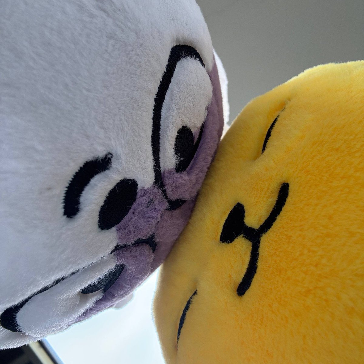 tamtam !! tweet media
