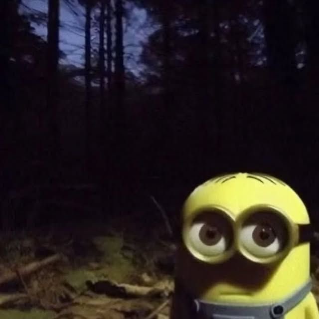 miyarah_'s tweet image. todos tenemos ese amigo que se duerme a las 3 a.m y se despierta a las 7 a.m como si nada