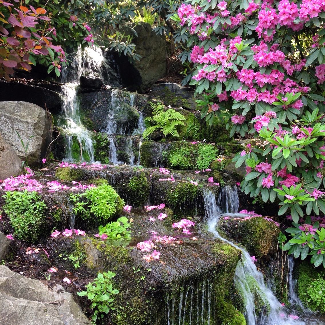 @lacrymarias (@lacrymarias) on Twitter photo 