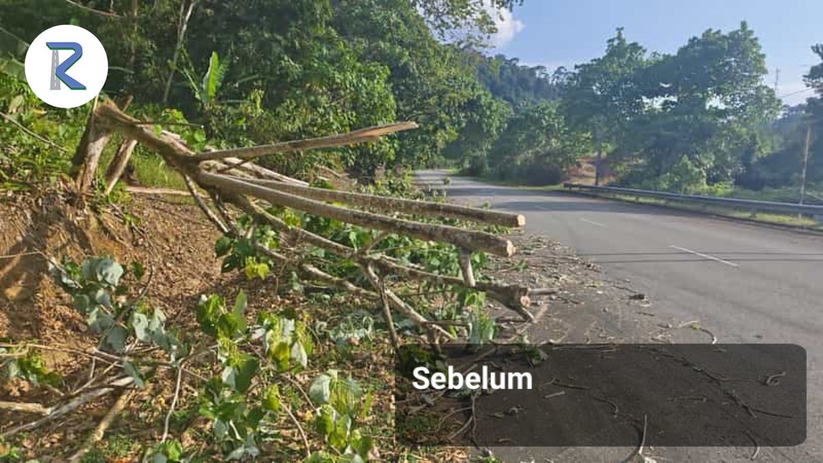 Roadcare Lipis Cameron tweet media